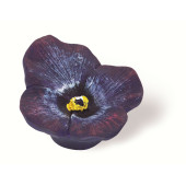 101-110 Siro Designs Flowers - 50mm Knob in Lilac Pansey